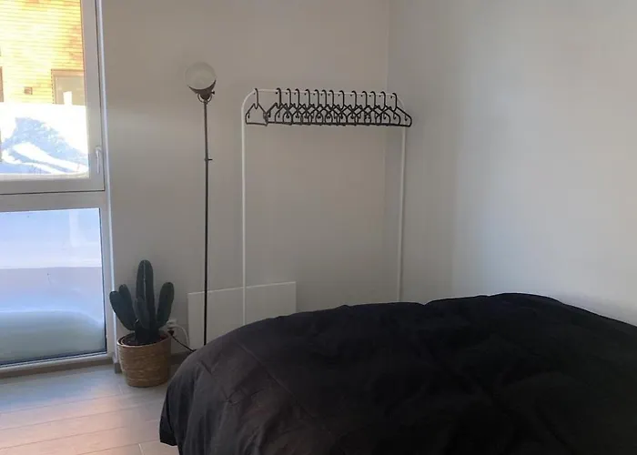 Apartament Cozy In *